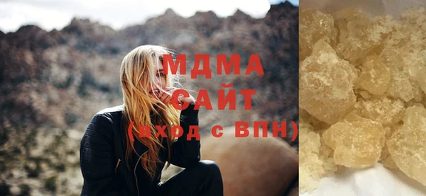 гашик Алексин