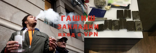 гашик Алексин