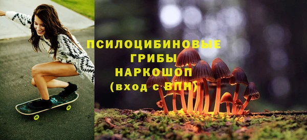 гашик Алексин