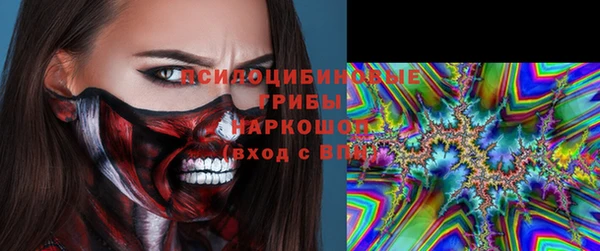 гашик Алексин