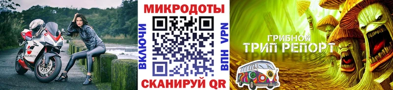 Галлюциногенные грибы Cubensis  маркетплейс формула  Минусинск  блэк спрут онион 