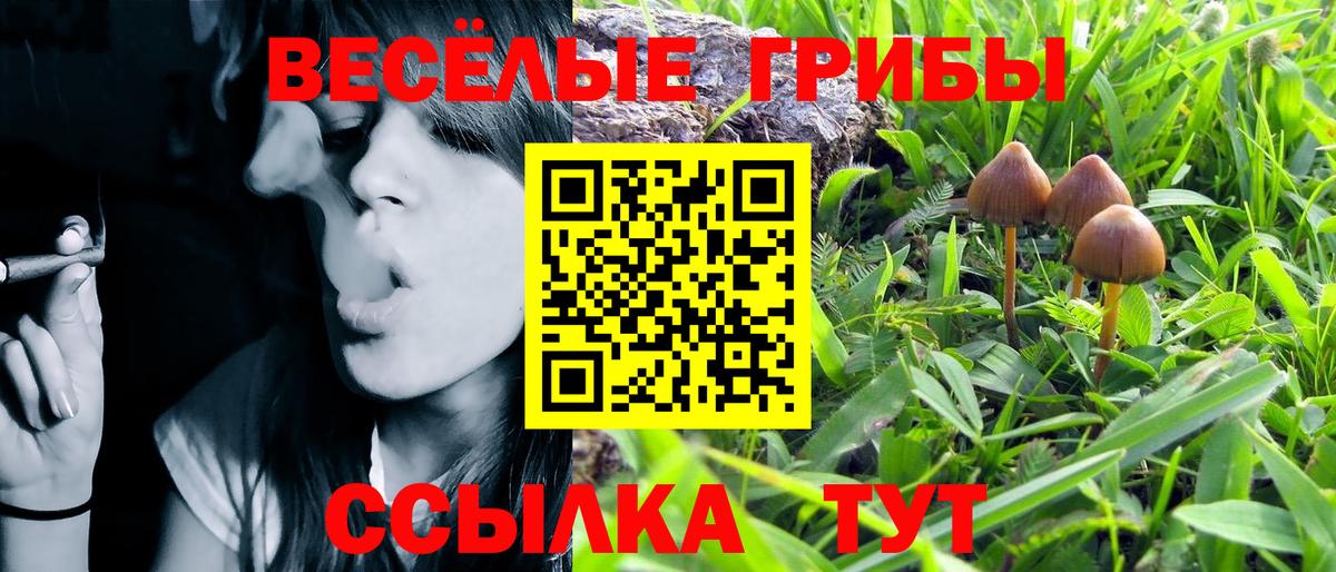 Галлюциногенные грибы мухоморы Минусинск