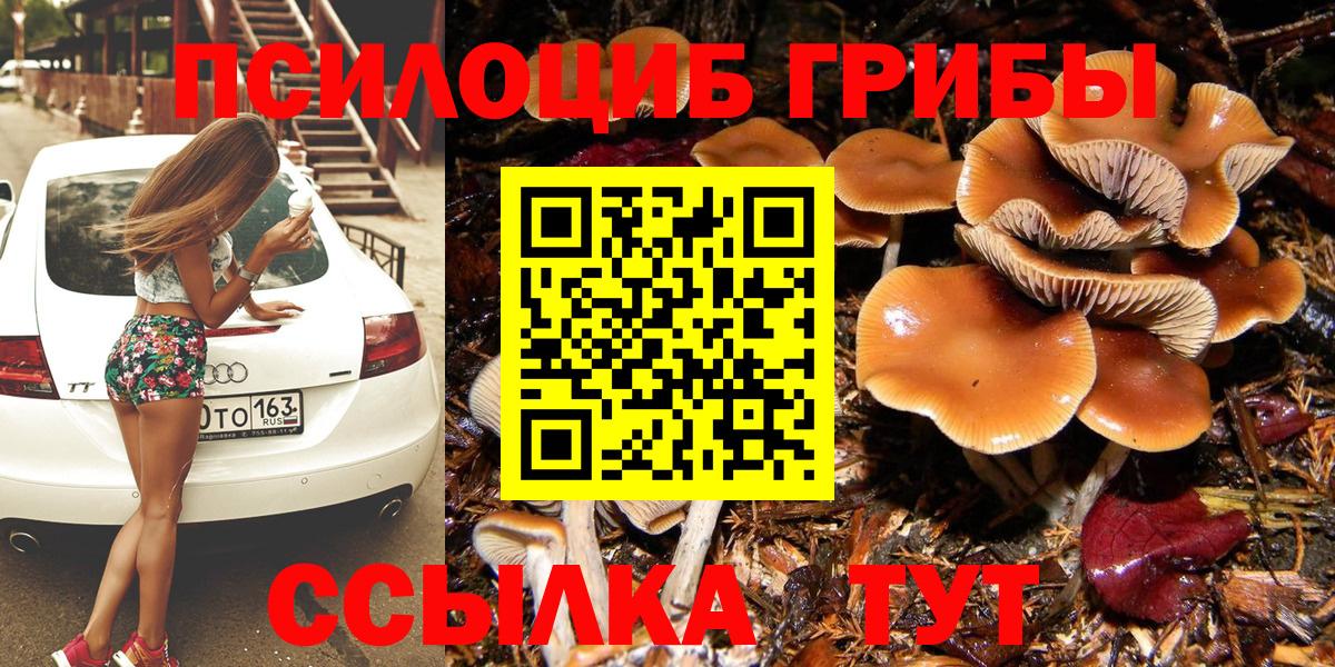Галлюциногенные грибы MAGIC MUSHROOMS  Вход с VPN  Минусинск 